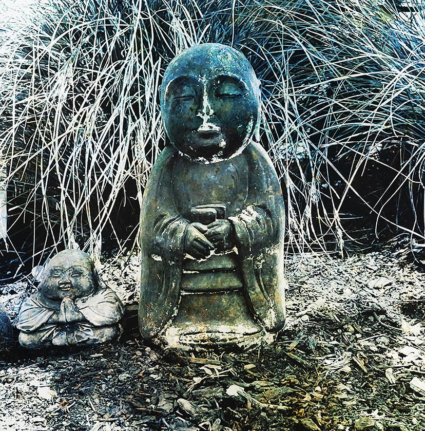 Garden Buddha. Digitally filtered photograph
